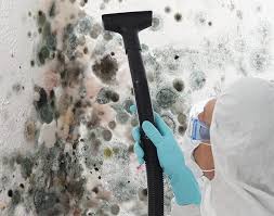 Best Mold Damage Restoration  in Aberdeen, ID